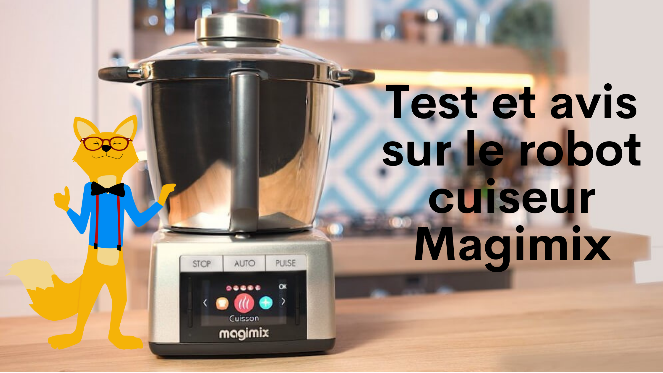 Panier Vapeur XXL Pour Robot Cook Expert Magimix - Achat en ligne