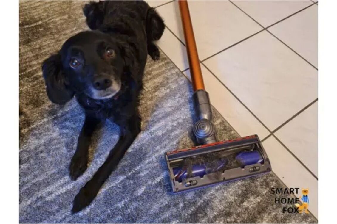 Лучшие аккумуляторные пылесосы против шерсти домашних животных в тесте